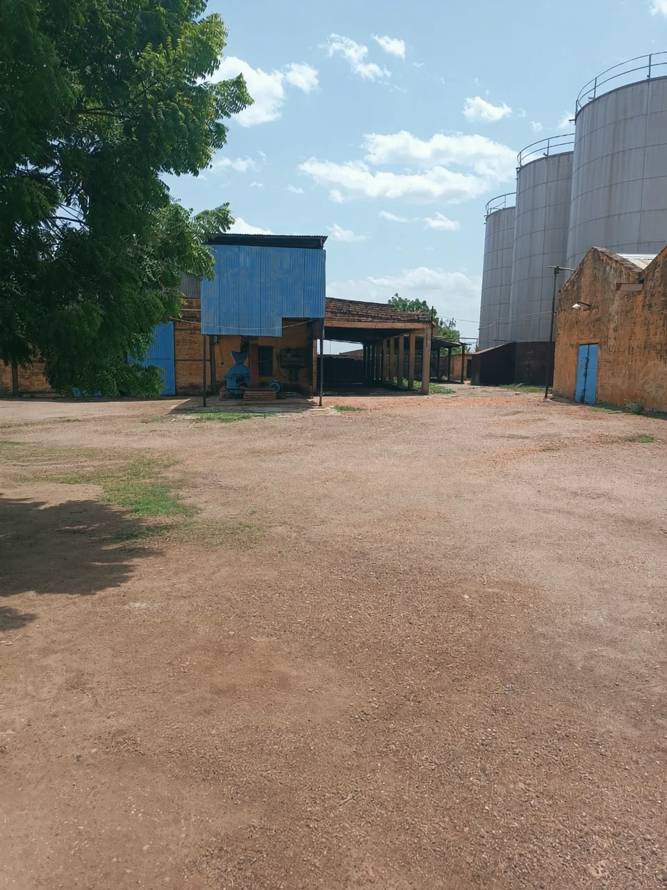 Site yard